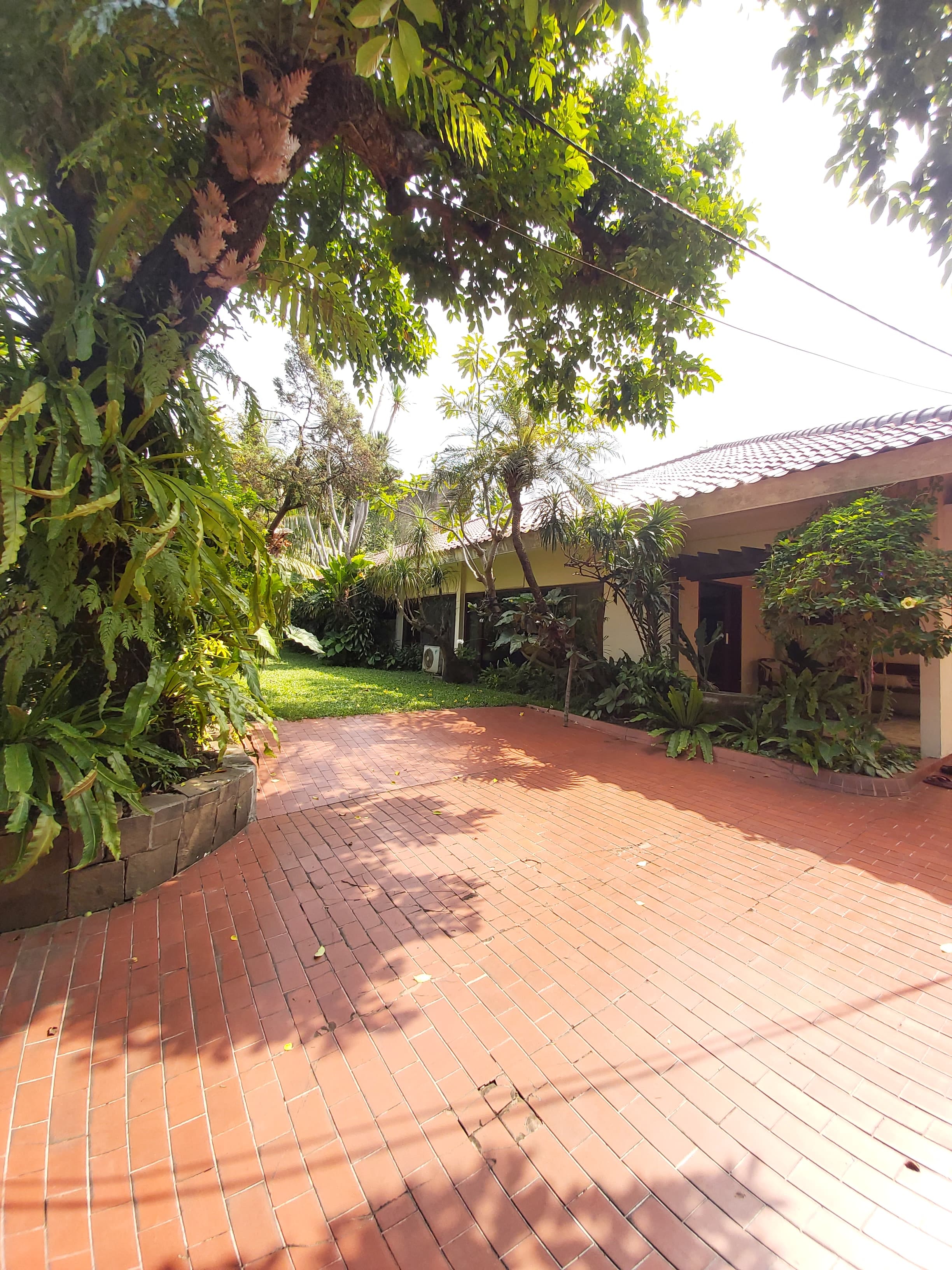 Rumah Asri Dekat Kemang thumbnail 12