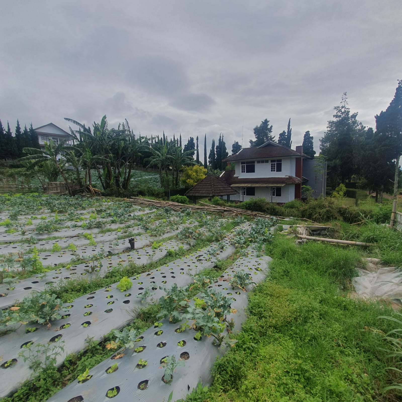 Tanah Asri Bandung thumbnail 14
