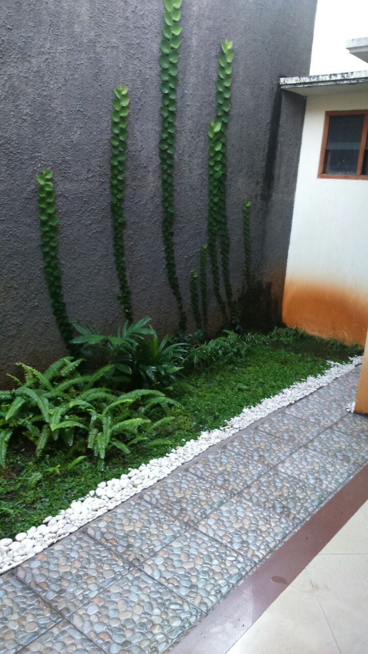 Rumah Pejaten thumbnail 8