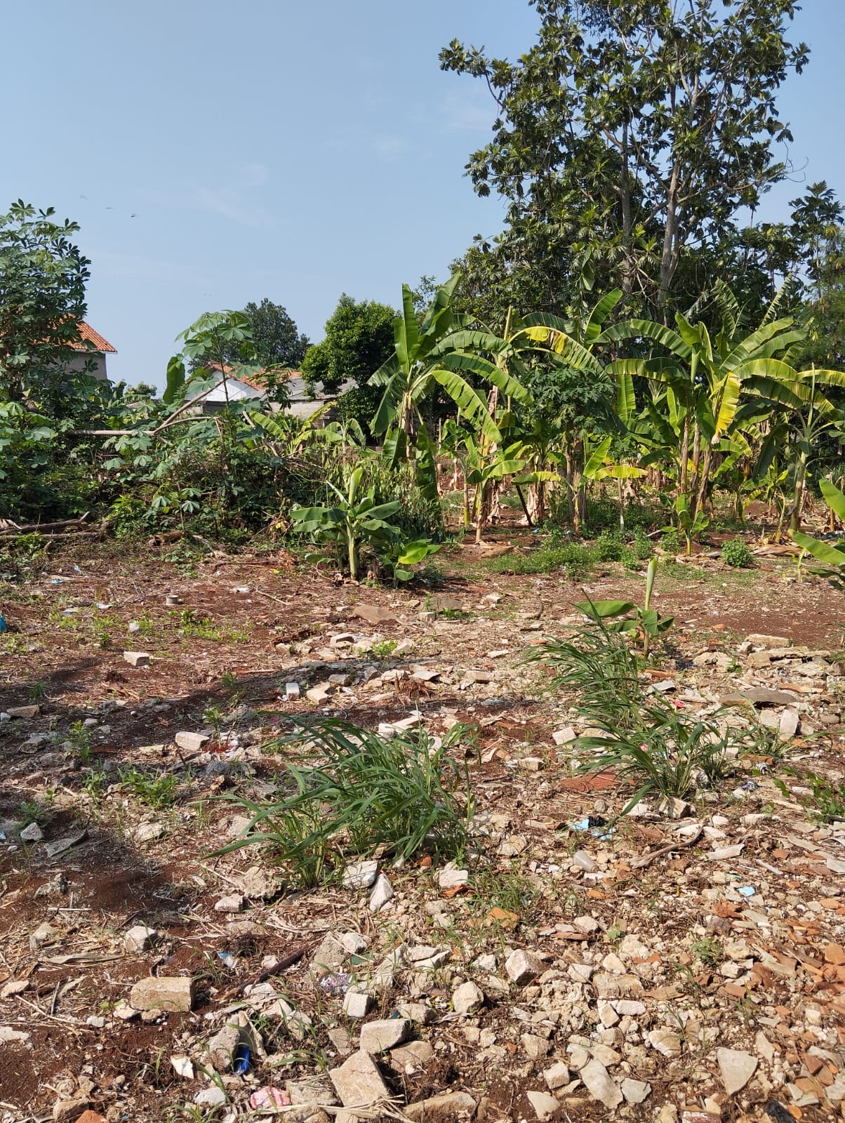 Tanah Pamulang foto 1