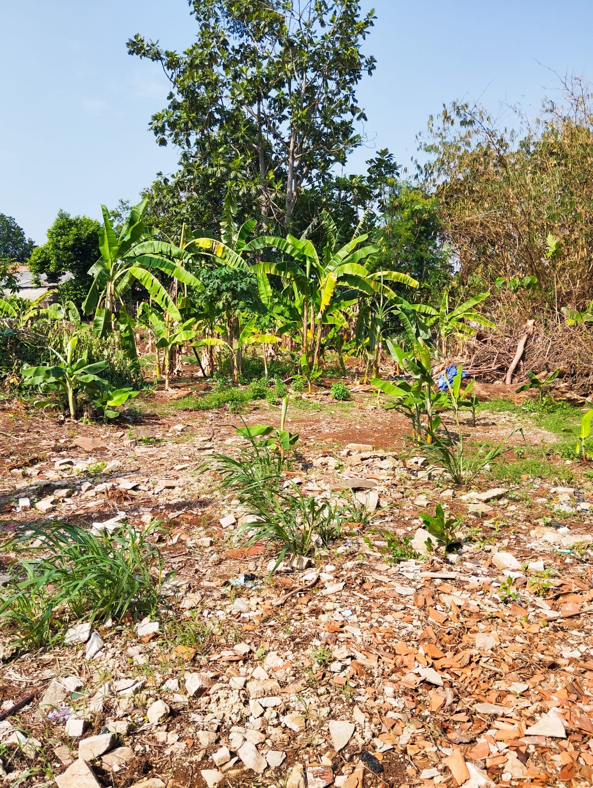 Tanah Pamulang thumbnail 2
