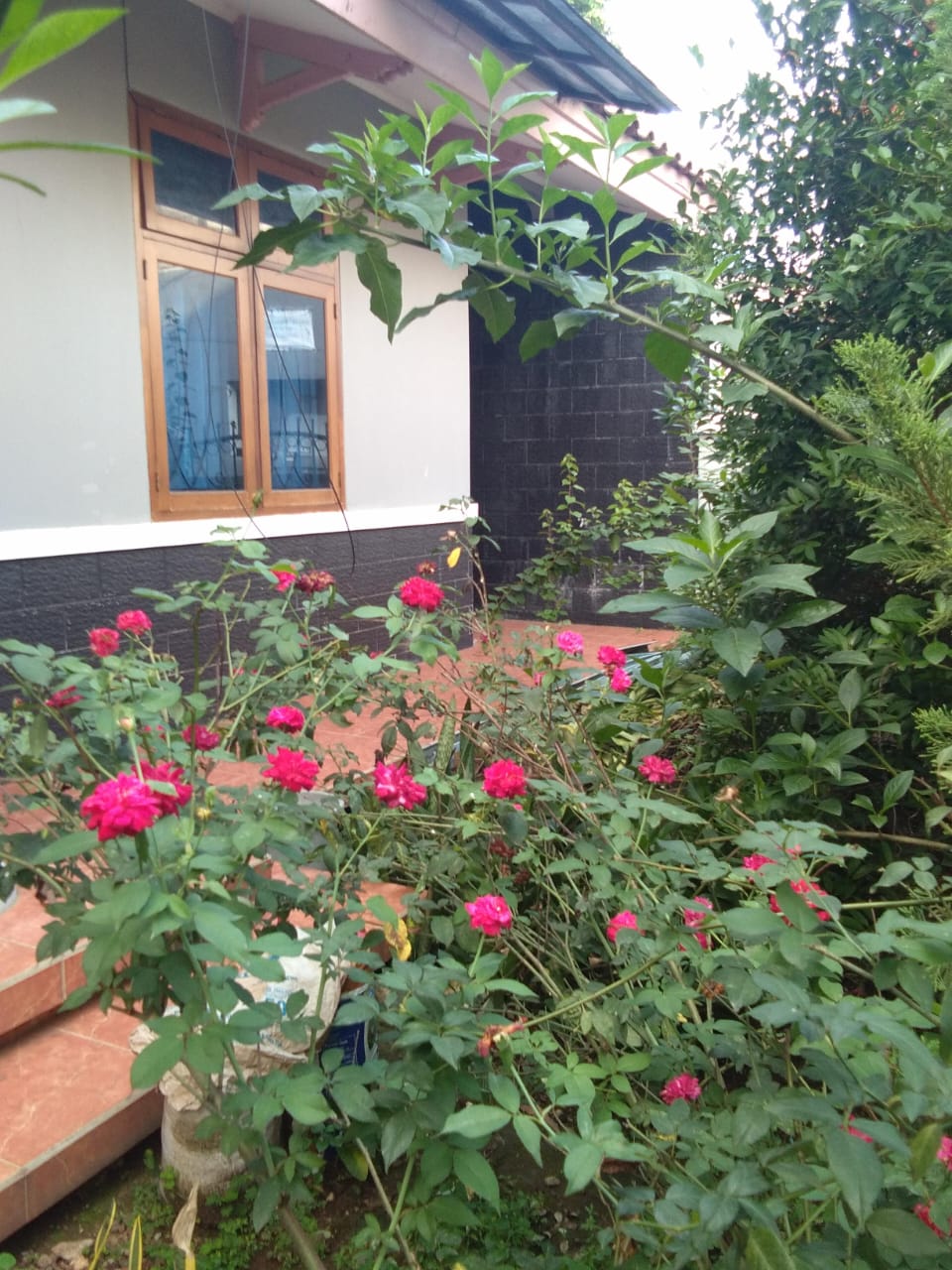 Rumah Kebagusan 3 Jakarta Selatan thumbnail 3