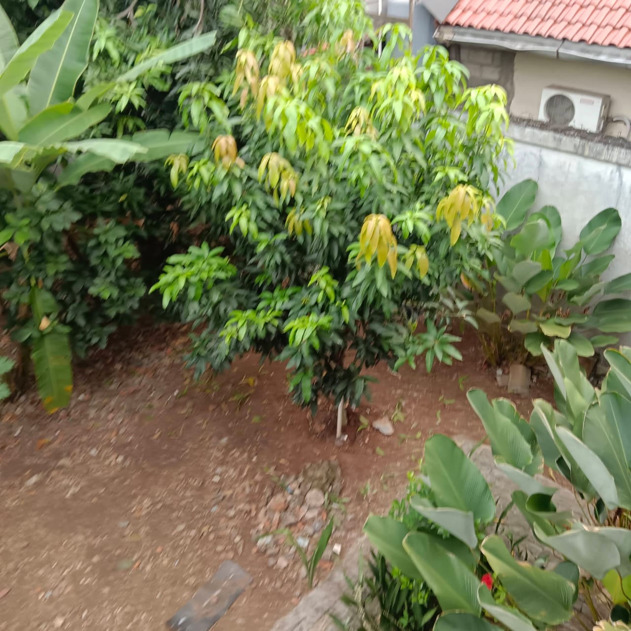 Rumah Kebagusan 3 Jakarta Selatan thumbnail 5